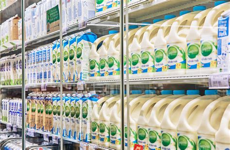 groothandel zuivel melk|Melk, Melkproducten .